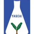 My Website